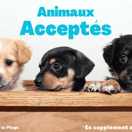 דירה Spacieux 4 Pers. - Proche - Belle Vue - Fr-1-323-416 סן ז'אן דה מון