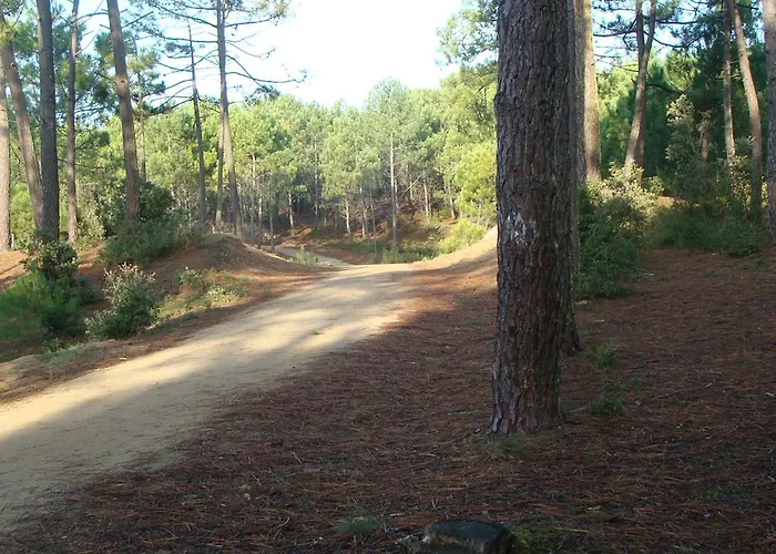 דירה Spacieux 4 Pers. - Proche - Belle Vue - Fr-1-323-416