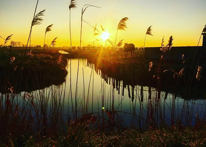 Spacieux 4 Pers. - Proche - Belle Vue - Fr-1-323-416 *