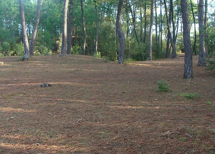 Spacieux 4 Pers. - Proche - Belle Vue - Fr-1-323-416 Appartement *